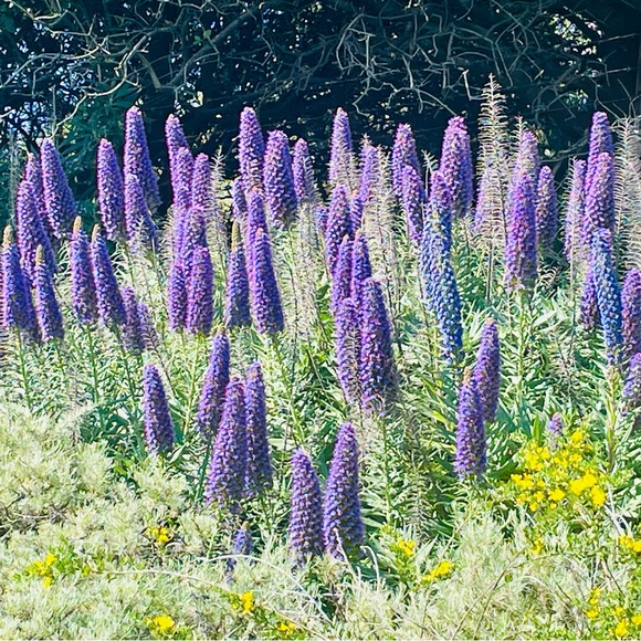 Meet your Posher, Jennifer - Picture 6 of 15